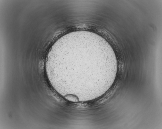 X0000110960660200907171650