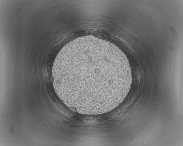 X0000110960661200907171650