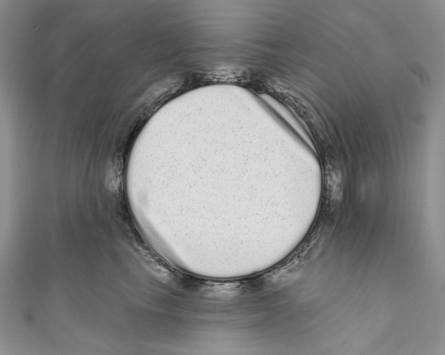 X0000110960665200907171651