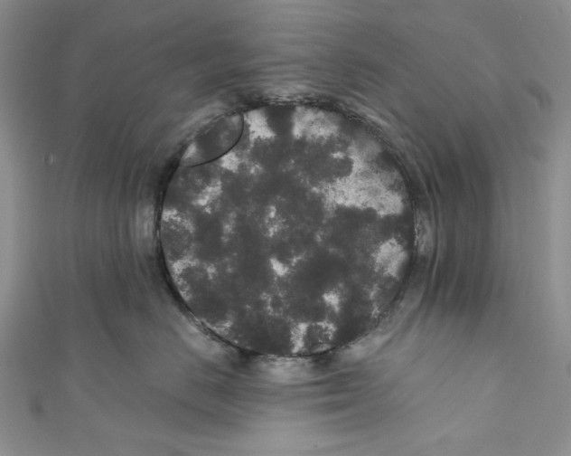 X0000110960670200907171651