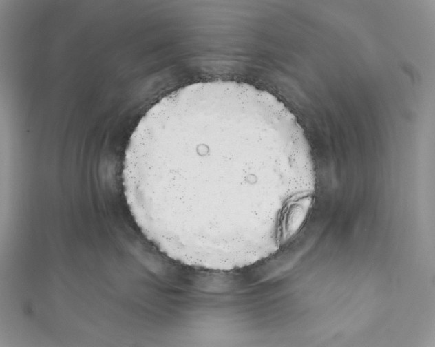X0000110960671200907171651