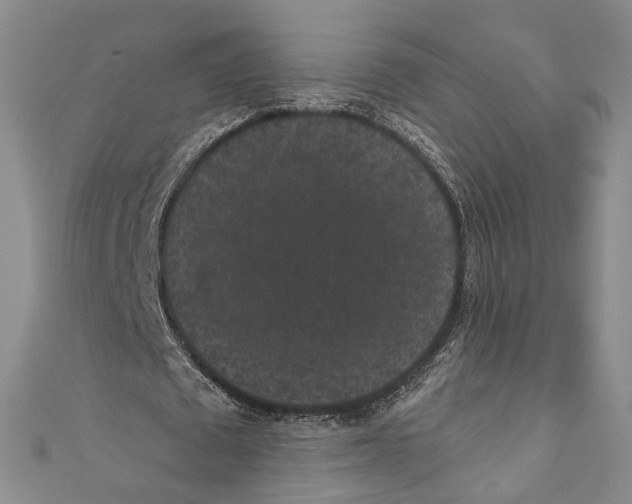 X0000110960673200907171650