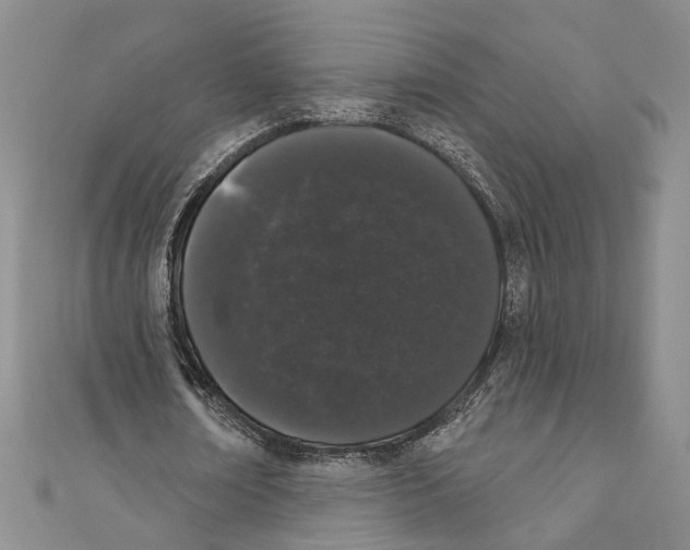 X0000110960674200907171650