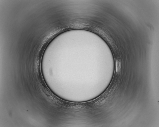 X0000110960675200907171650