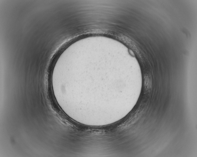 X0000110960676200907171650