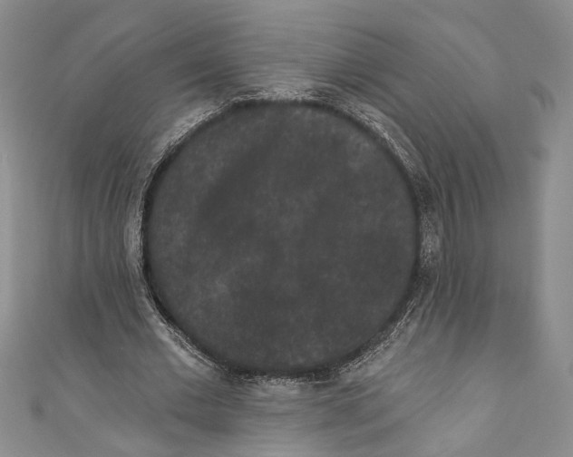 X0000110960677200907171650