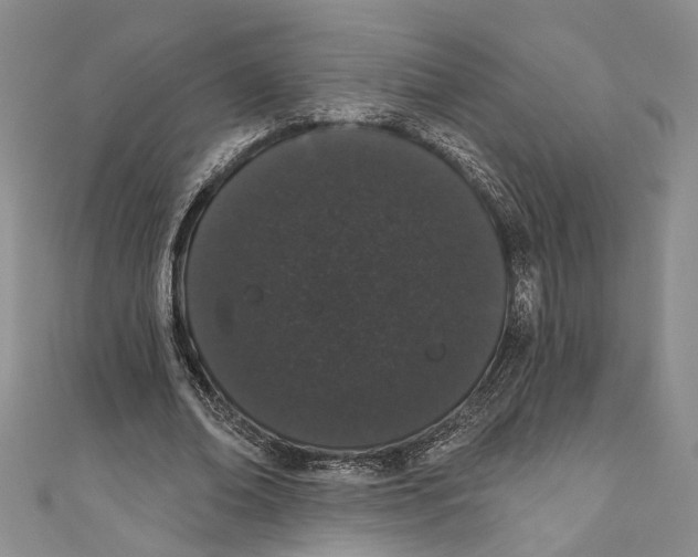X0000110960678200907171650