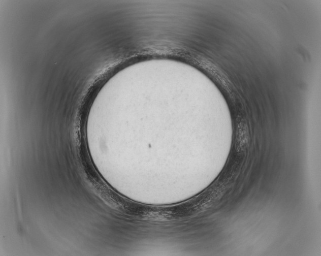 X0000110960680200907171650