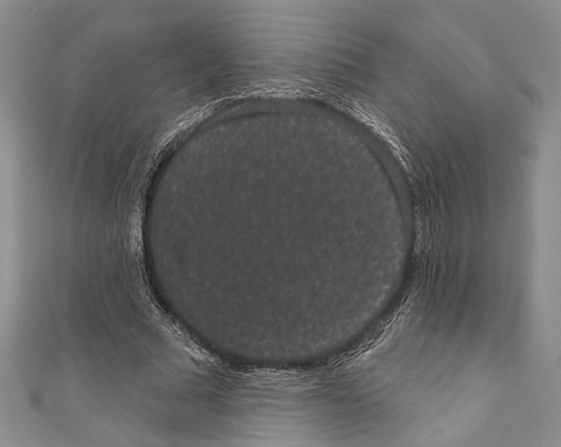 X0000110960681200907171650