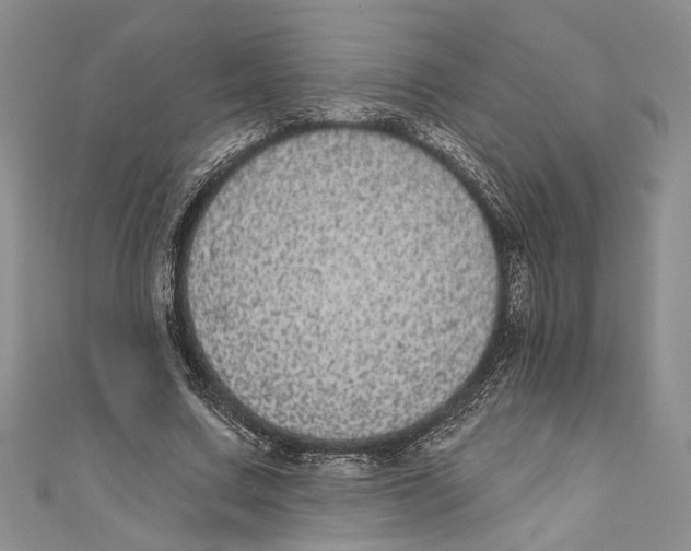 X0000110960683200907171650