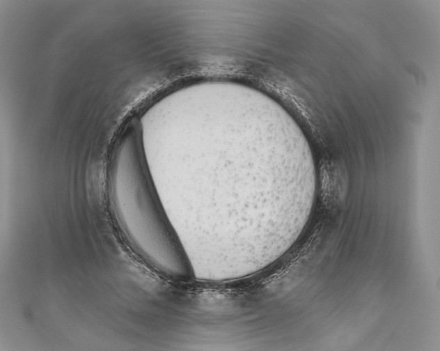 X0000110960684200907171650