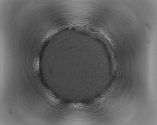 X0000110960685200907171650