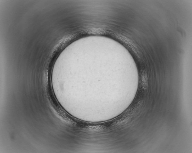 X0000110960686200907171650