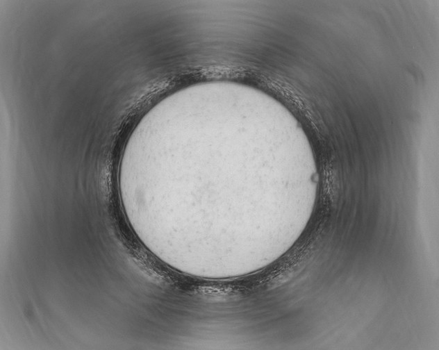 X0000110960690200907171650