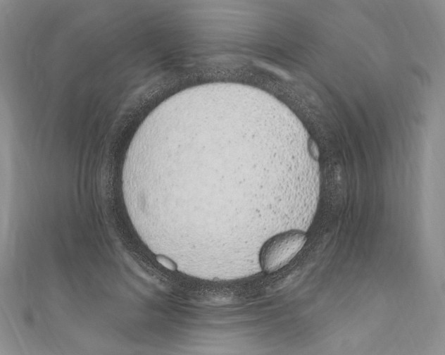 X0000110960692200907171650