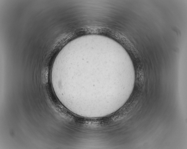 X0000110960694200907171650