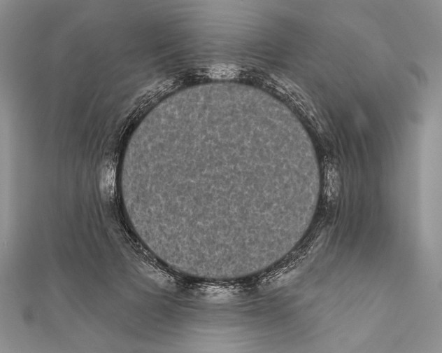 X0000110960697200907171650