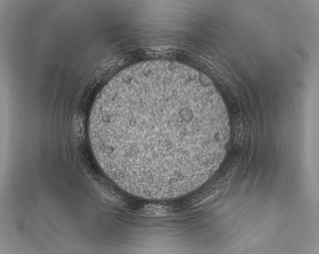 X0000110960699200907171650