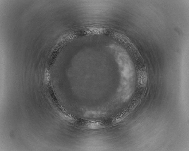 X0000110960701200907171649