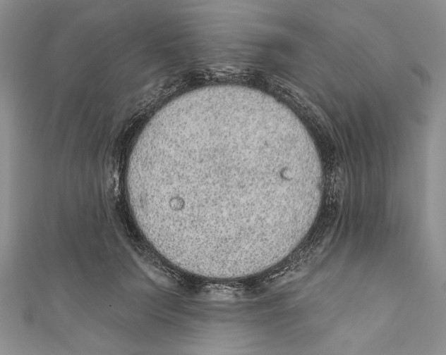 X0000110960703200907171649