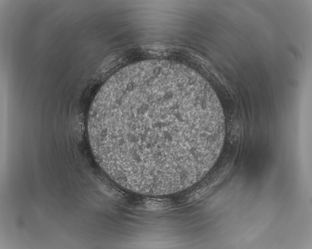 X0000110960707200907171649