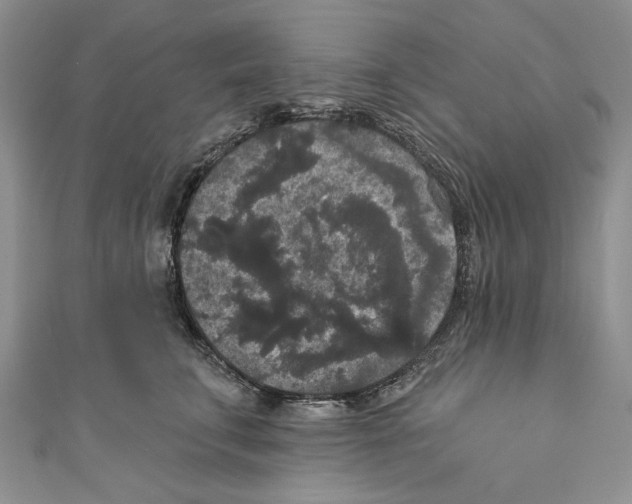 X0000110960711200907171649