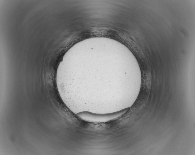 X0000110960712200907171649