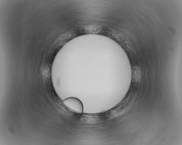 X0000110960713200907171649