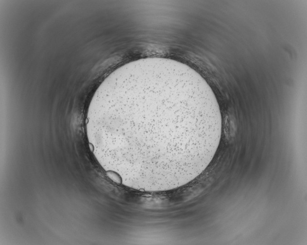 X0000110960714200907171649