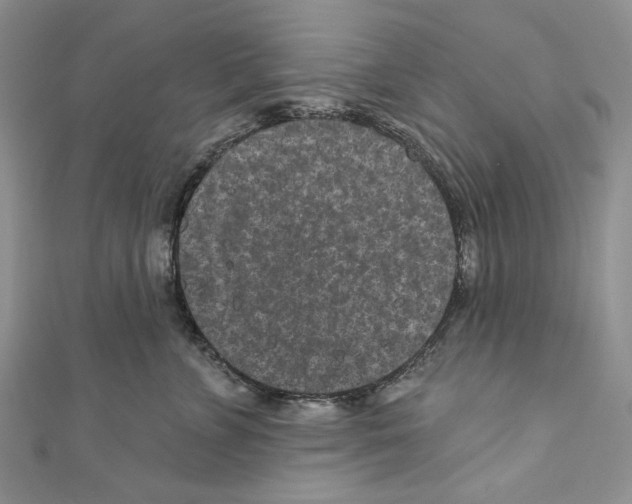 X0000110960715200907171649
