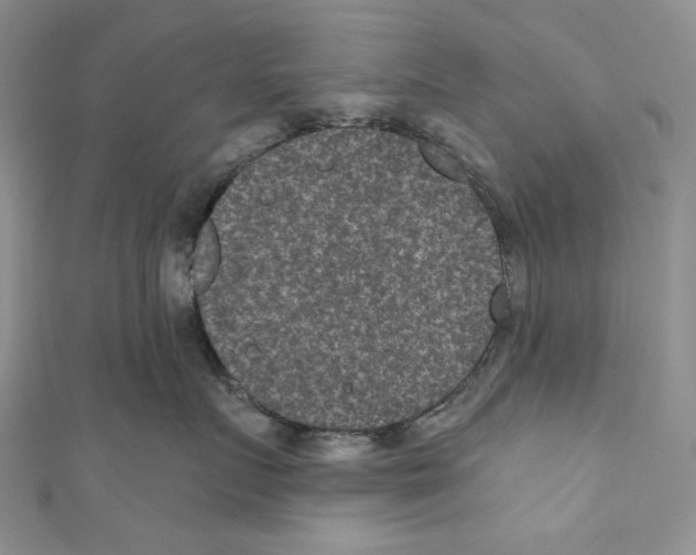 X0000110960719200907171649