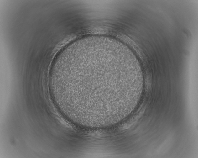 X0000110960721200907171648