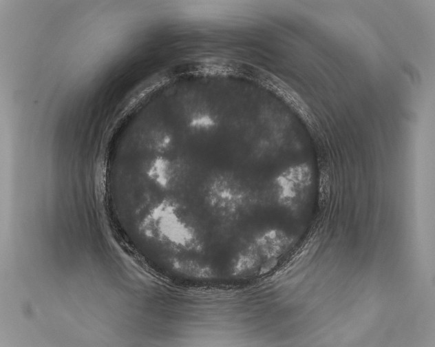 X0000110960722200907171648
