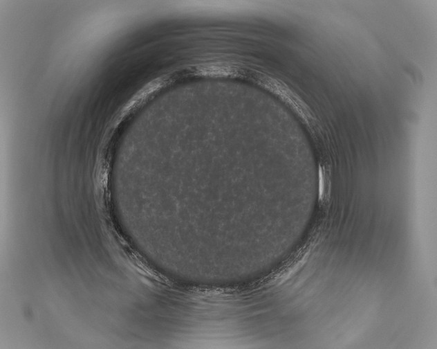 X0000110960723200907171648