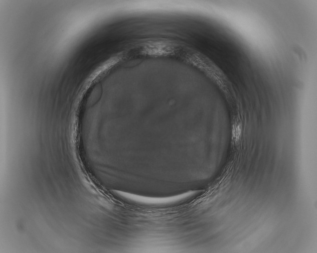 X0000110960724200907171649