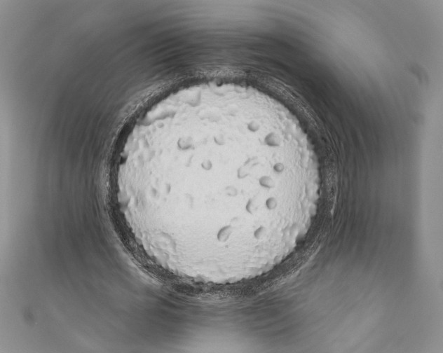 X0000110960725200907171649