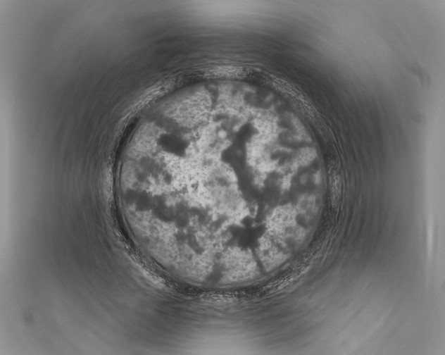 X0000110960729200907171649
