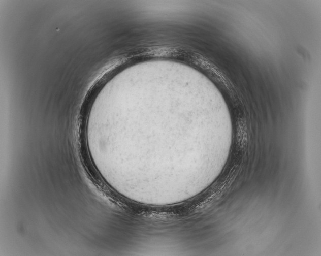 X0000110960730200907171649
