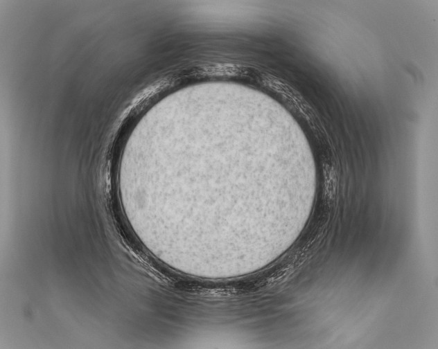 X0000110960731200907171649