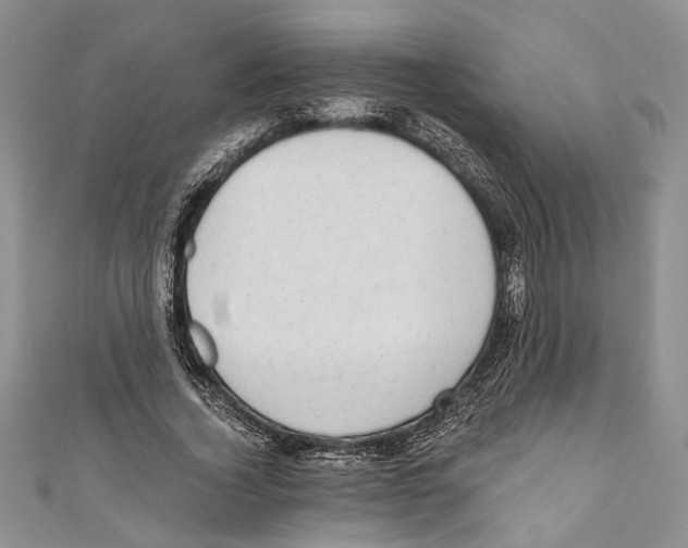 X0000110960732200907171649