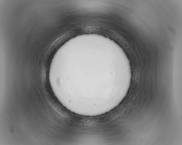 X0000110960733200907171649