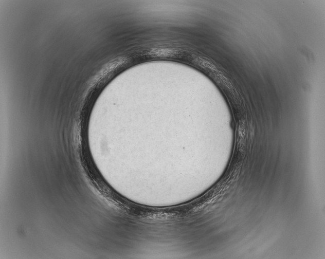 X0000110960734200907171649