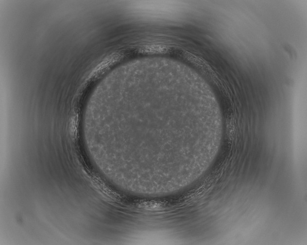 X0000110960735200907171649