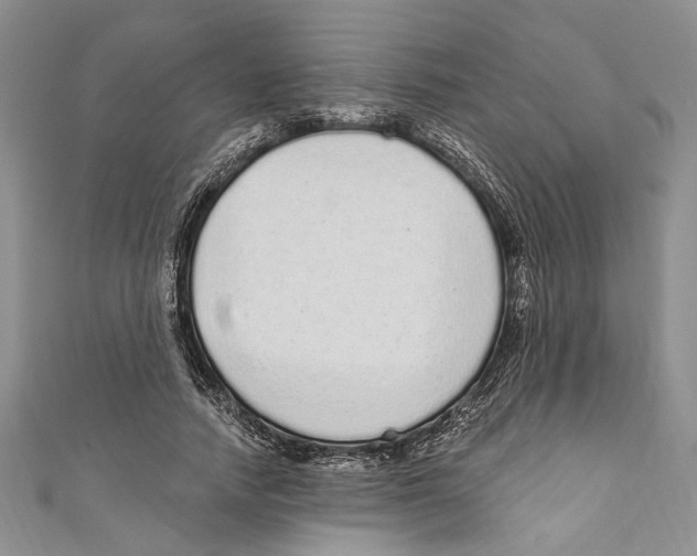 X0000110960738200907171649