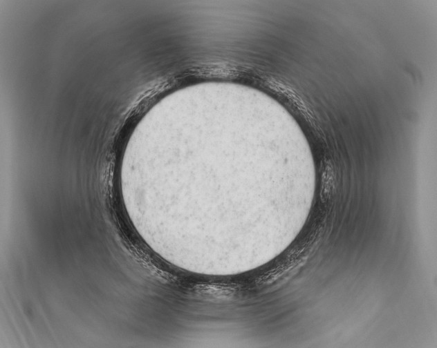 X0000110960739200907171649