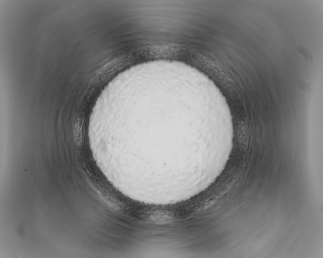 X0000110960741200907171649