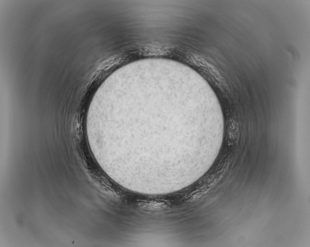 X0000110960743200907171649