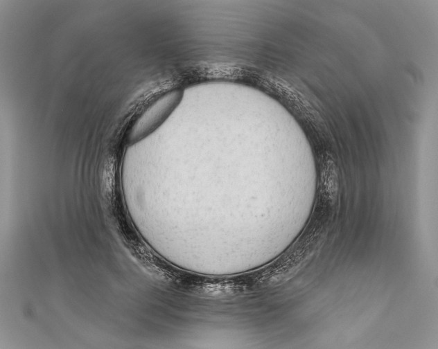 X0000110960744200907171649