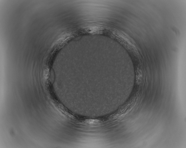 X0000110960748200907171649