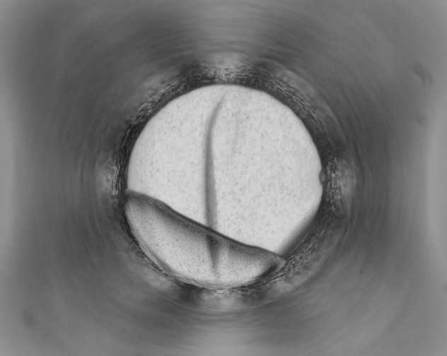 X0000110960750200907171649